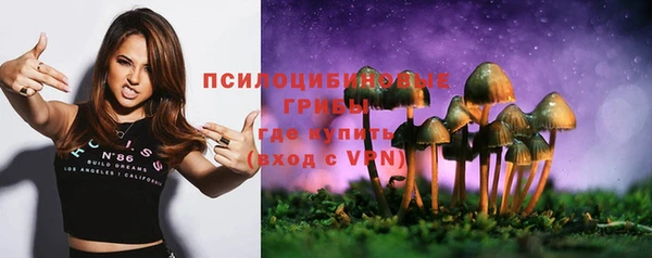 сатива Балахна