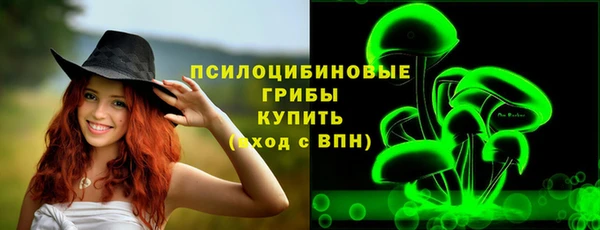молекула духа Наволоки