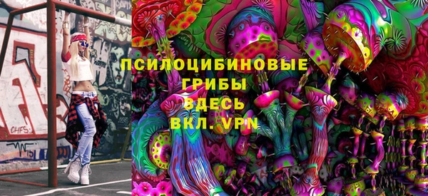 сатива Балахна