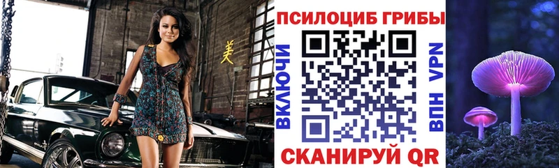 Псилоцибиновые грибы Psilocybine cubensis  как найти   Реутов 